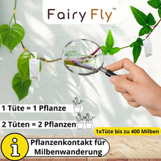 Raubmilben gegen Thripse - FairyFly