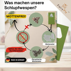 Schlupfwespen gegen Lebensmittelmotten - FairyFly