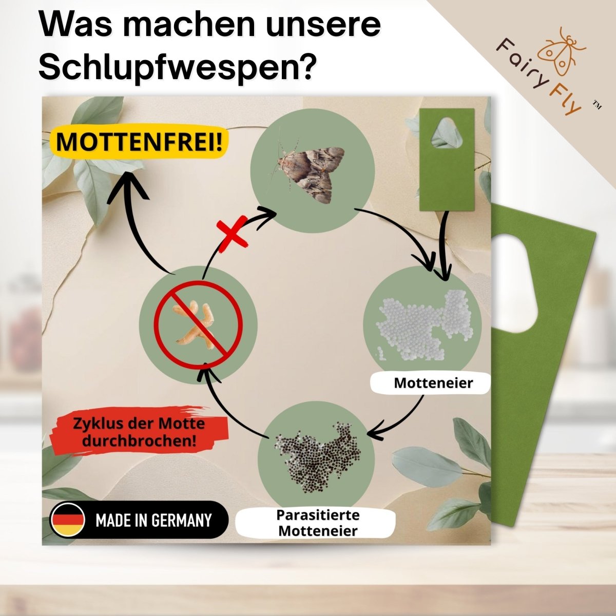 Schlupfwespen gegen Lebensmittelmotten - FairyFly